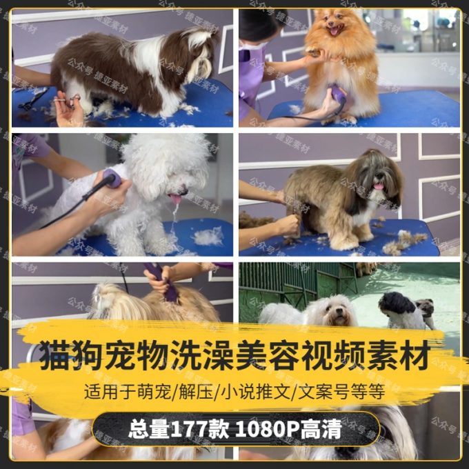 【177款】国外猫狗宠物洗澡美容修剪皮毛小说推文解压视频素材