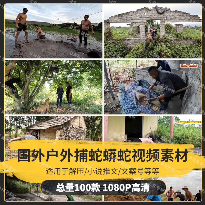 【100款】国外户外捕蛇蟒蛇解压视频素材-捷亚素材网