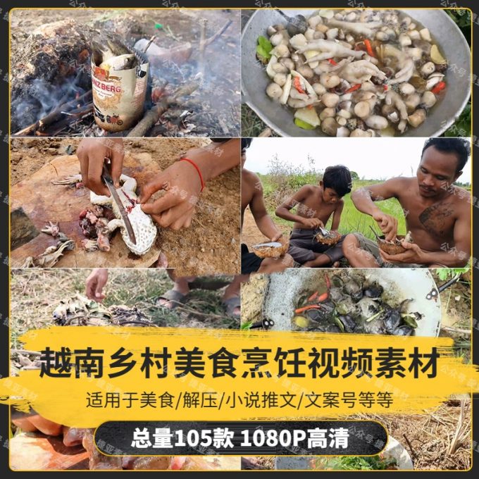 【105款】越南乡村美食烹饪野炊小说推文解压视频素材