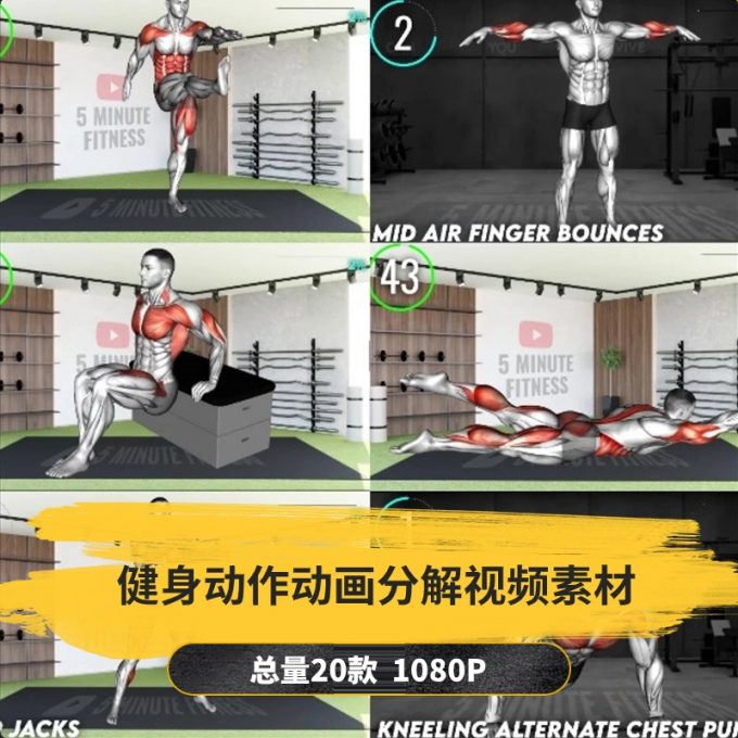 【20款】健身动作动画分解视频素材