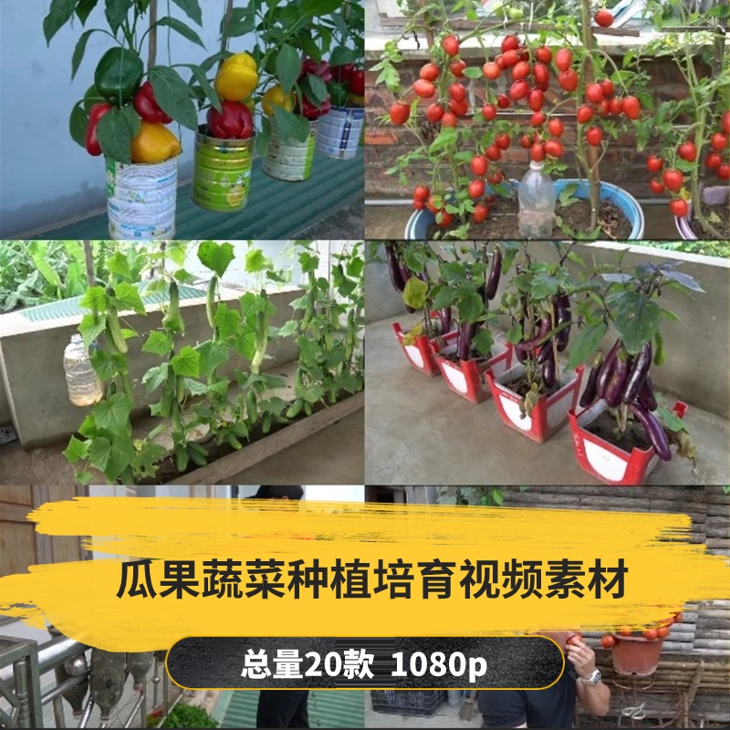 【20款】瓜果蔬菜种植培育解压视频素材-捷亚素材网