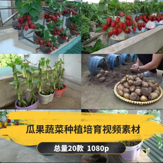 【20款】瓜果蔬菜种植培育小说推文解压视频素材